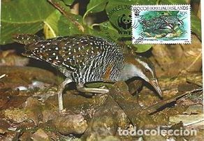 Stamps: Isla Cocos & Máximo, WWF Cocos Trilho de Buff, Gallirallus philippensis andrewsi 1992 (79977)